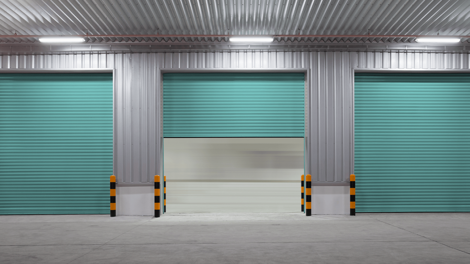 Commercial Garage Door 5 Garage door