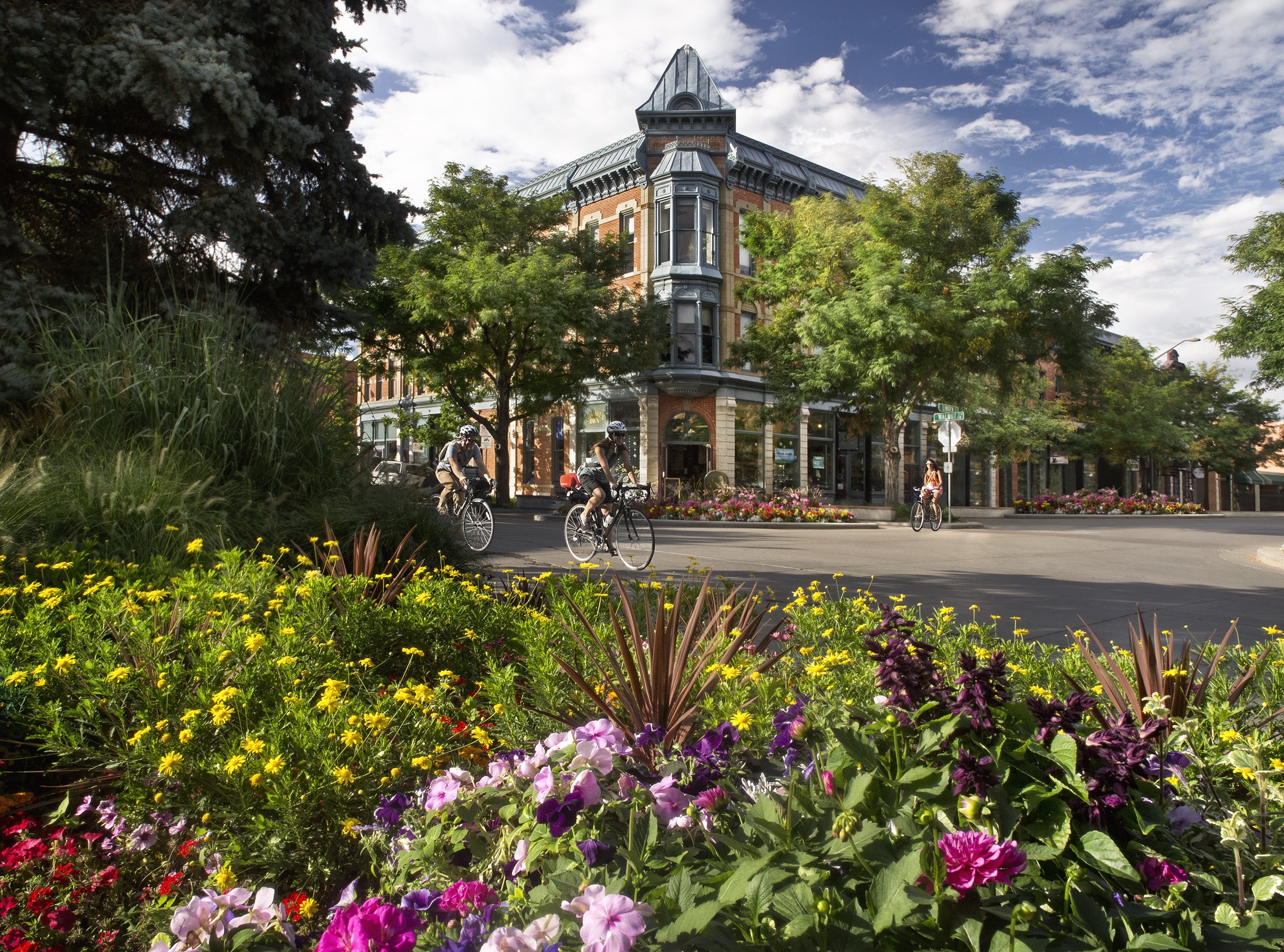 Fort Collins Fort Collins